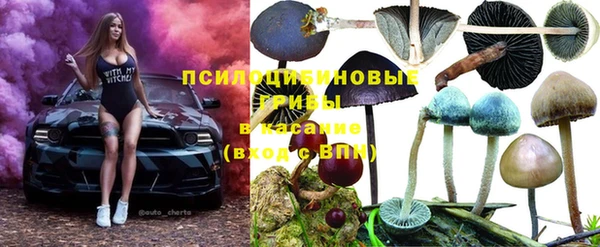 твердый Абдулино